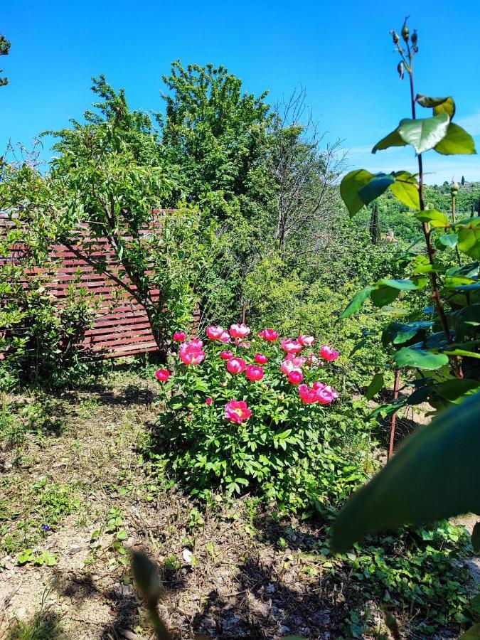 Salara Farmhouse Копер Екстер'єр фото